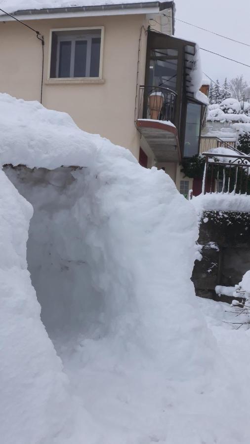 Les Planchettes Hébergement de vacances Orcival